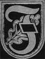 Опознавательный знак танковой дивизии СС «Фрундсберг»
